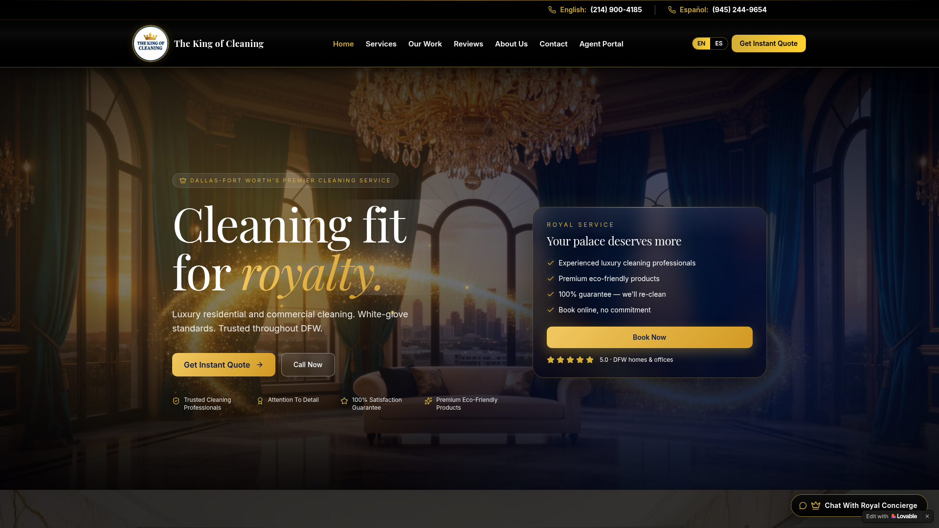 The King of Cleaning preview